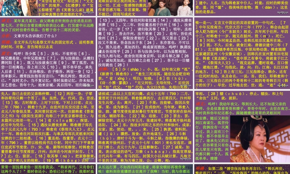 人教版高二语文下学期第五单元 祭十二郎文 课件