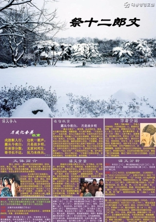 人教版高二语文下学期第五单元 祭十二郎文 课件