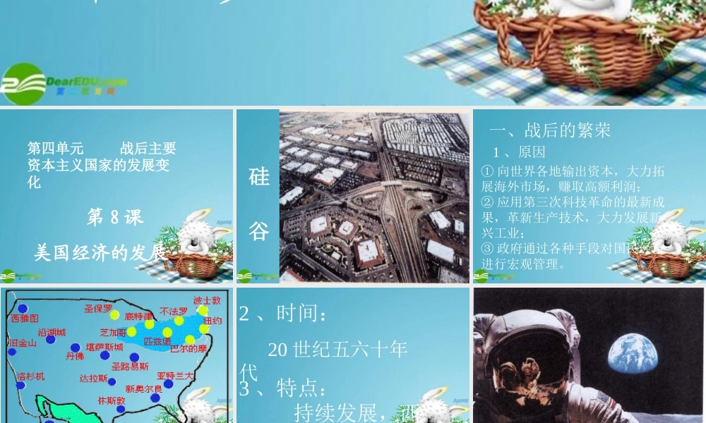 九年级历史下册 美国经济的发展课件 人教新课标版 课件