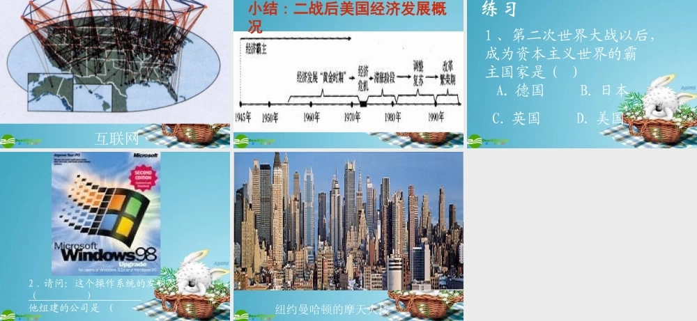 九年级历史下册 美国经济的发展课件 人教新课标版 课件