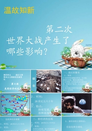 九年级历史下册 美国经济的发展课件 人教新课标版 课件