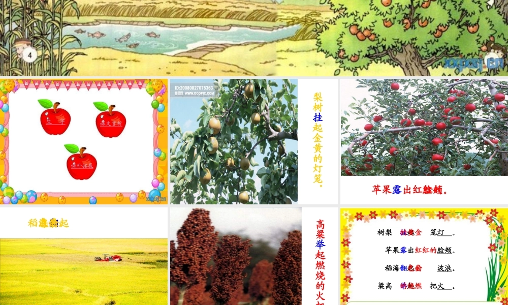 府西小学董娜二上1《秋天的图画》