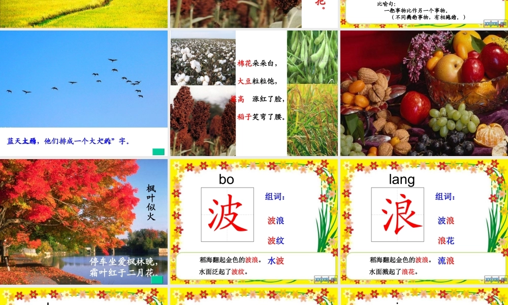 府西小学董娜二上1《秋天的图画》