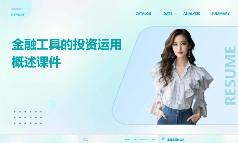 金融工具的投资运用概述课件