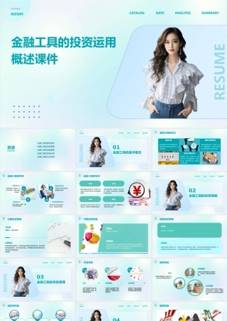 金融工具的投资运用概述课件