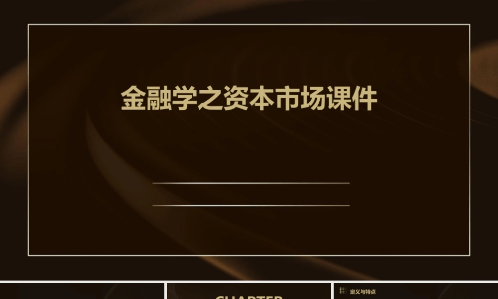 金融学之资本市场课件