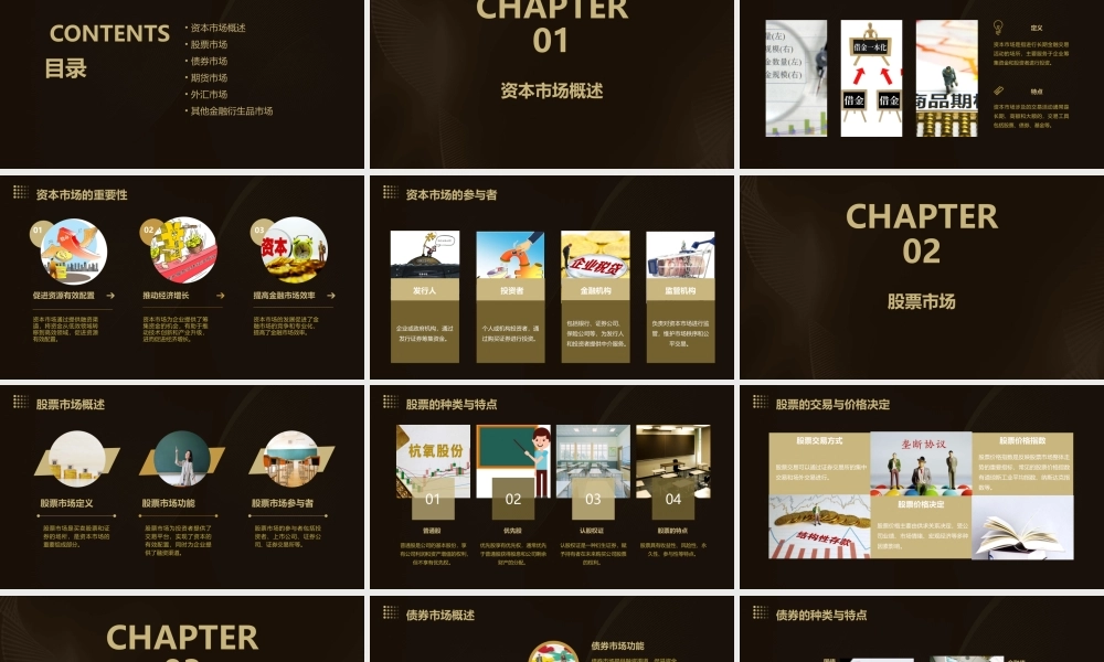 金融学之资本市场课件