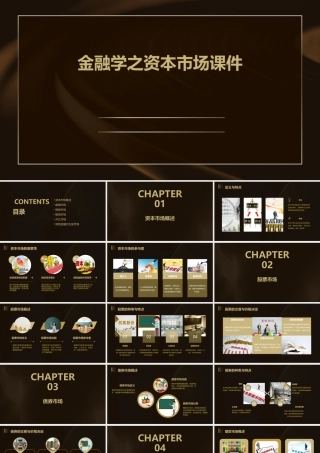 金融学之资本市场课件