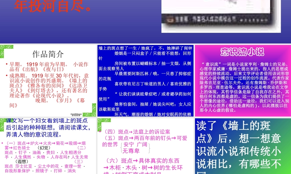 墙上的斑点高三语文 新课标 人教版 课件