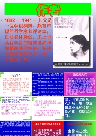 墙上的斑点高三语文 新课标 人教版 课件