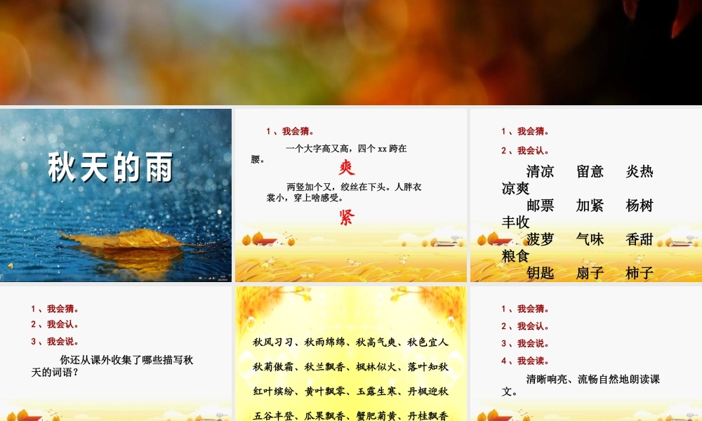 三上11《秋天的雨》课件