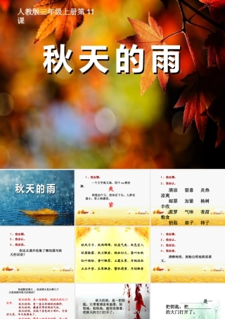 三上11《秋天的雨》课件