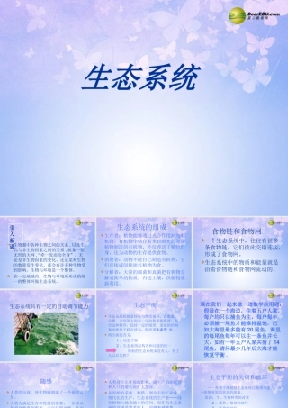 中学七年级生物上册 1.2.4 生态系统课件1 新人教版 课件