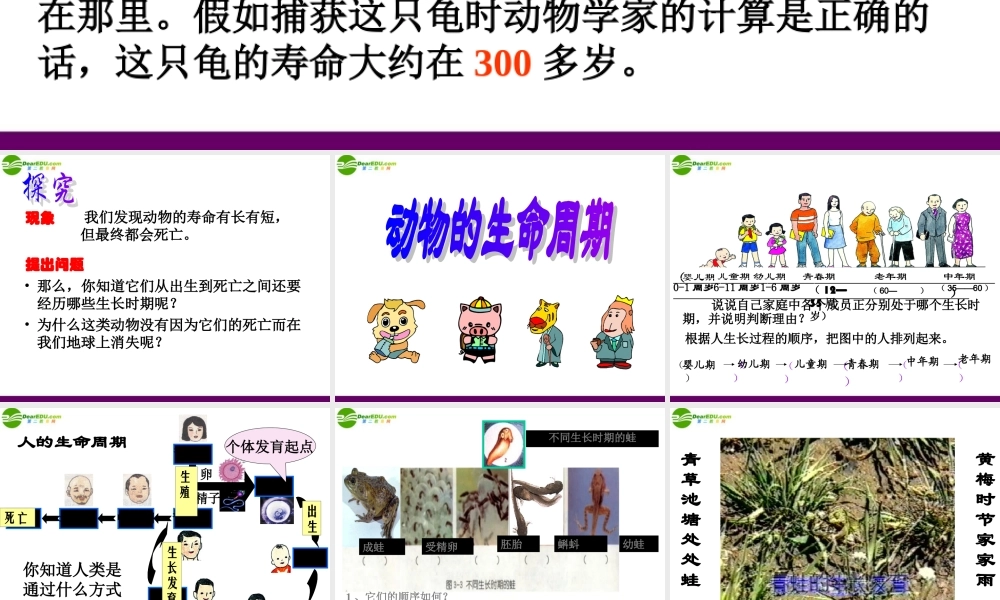 七年级科学下册 第三章第一节动物的生命周期课件 浙教版 课件