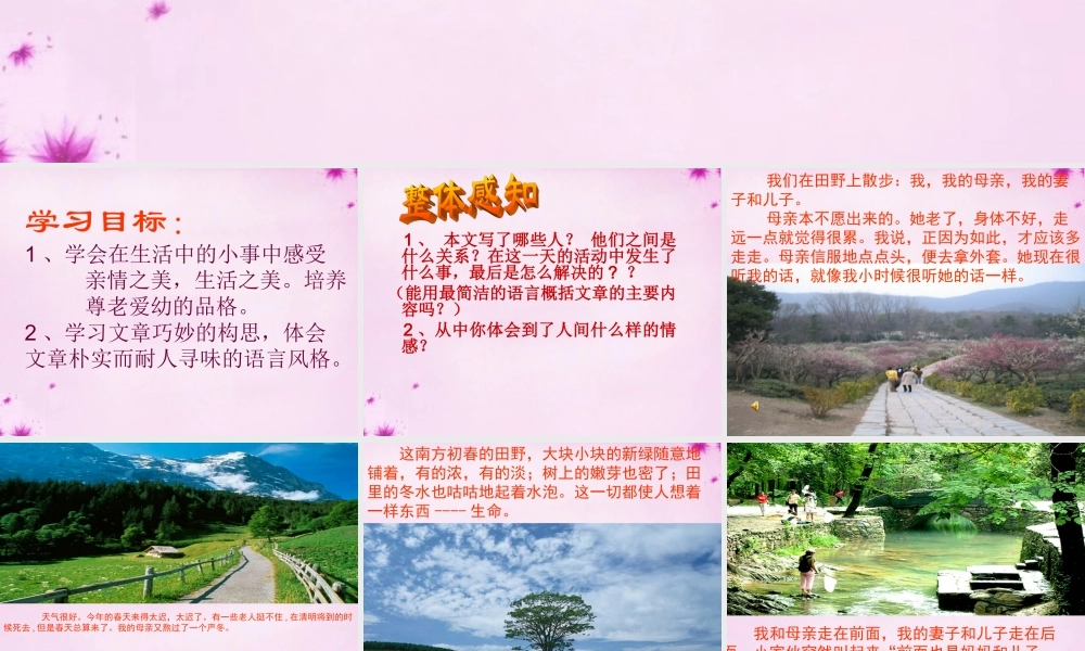 初中部八年级语文下册 5.22 散步课件3 (新版)苏教版 课件
