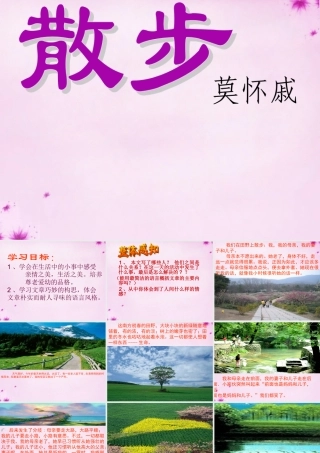 初中部八年级语文下册 5.22 散步课件3 (新版)苏教版 课件