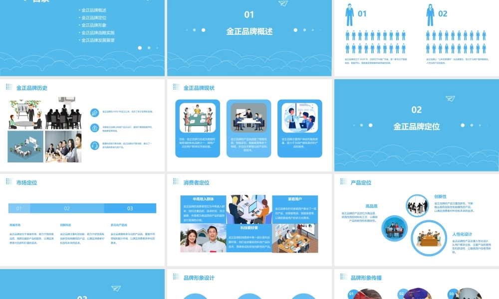 金正品牌战略课件