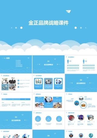 金正品牌战略课件