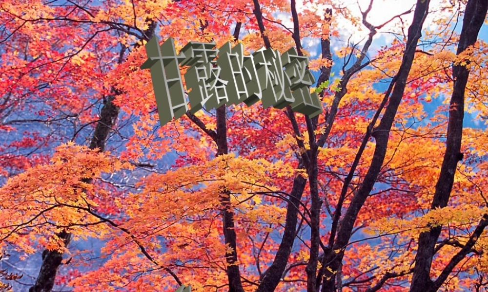 七年级语文下册 (甘露的秘密)课件 鄂教版 课件