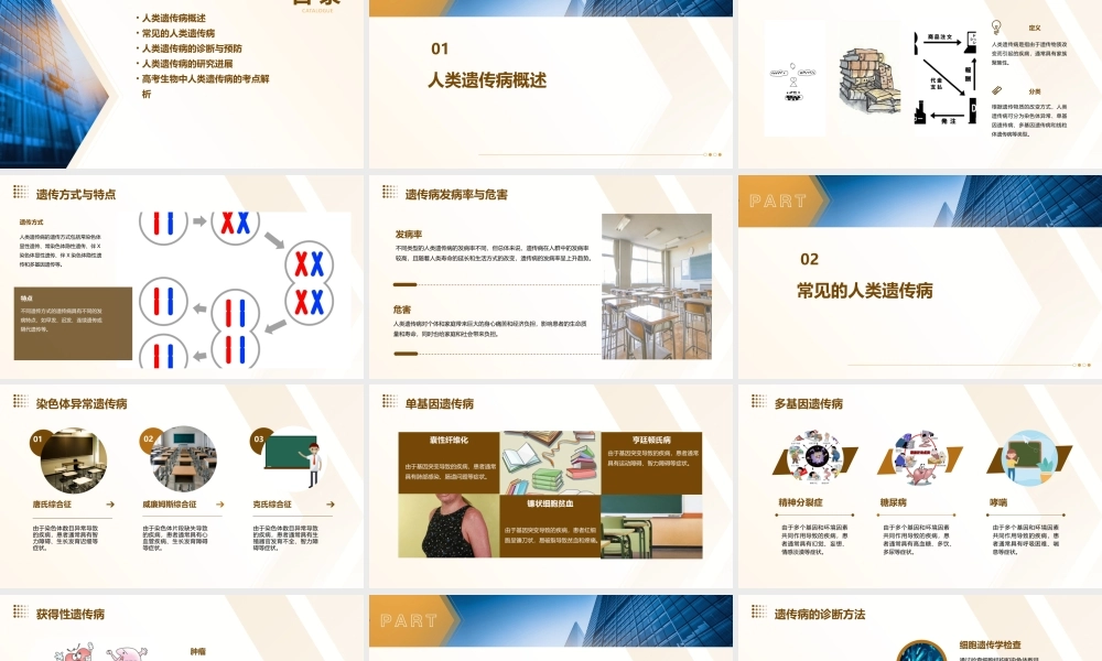 金新案高考生物大一轮复习通用课件   人类遗传病