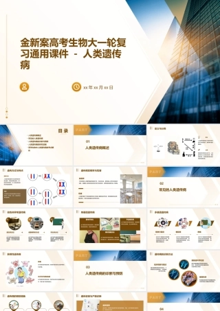 金新案高考生物大一轮复习通用课件   人类遗传病