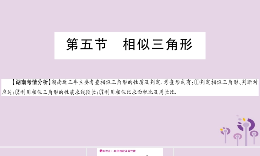 中考数学复习 第一轮 考点系统复习 第4章 三角形 第5节 相似三角形导学课件