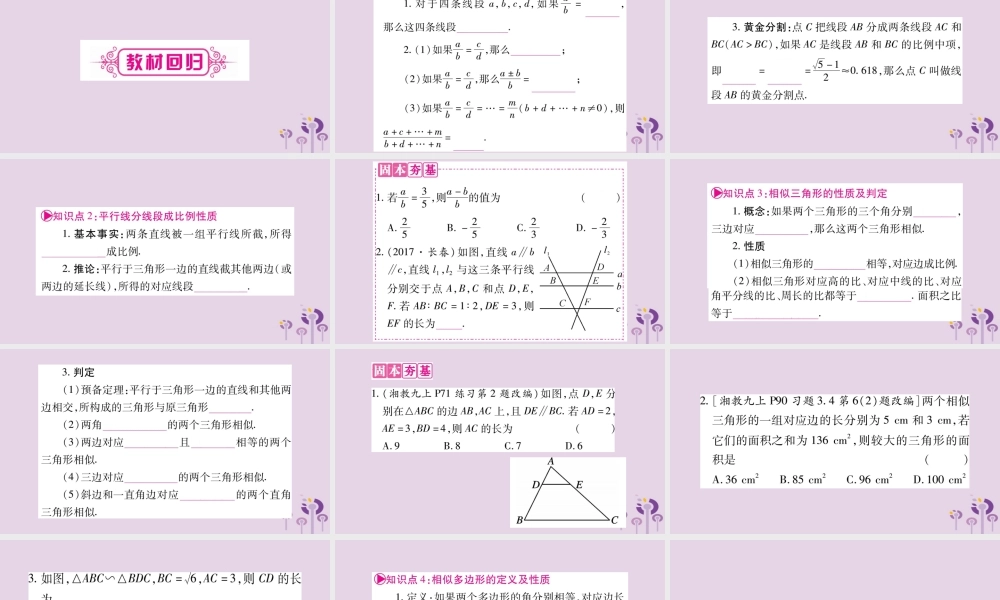 中考数学复习 第一轮 考点系统复习 第4章 三角形 第5节 相似三角形导学课件