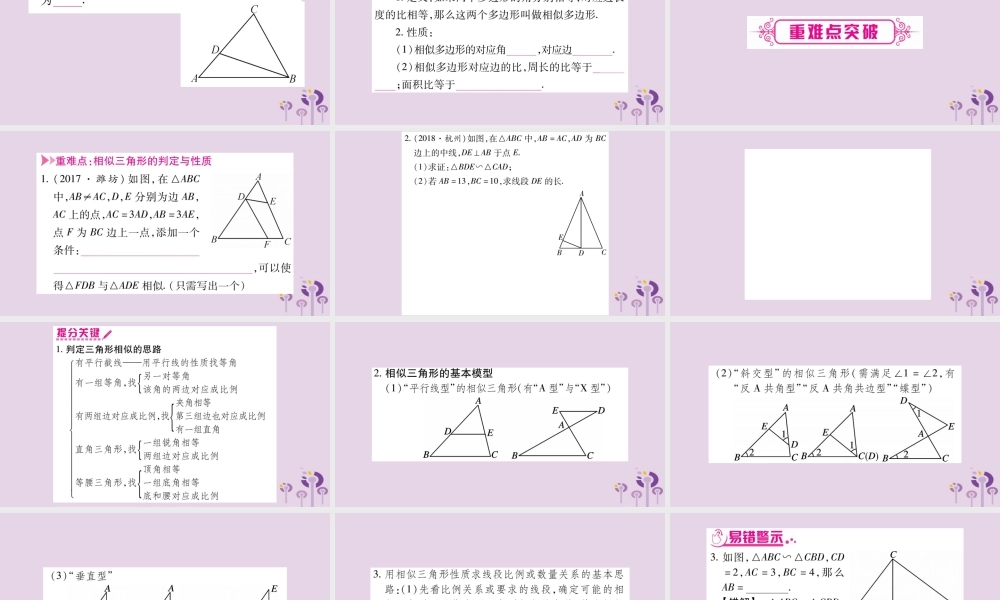 中考数学复习 第一轮 考点系统复习 第4章 三角形 第5节 相似三角形导学课件