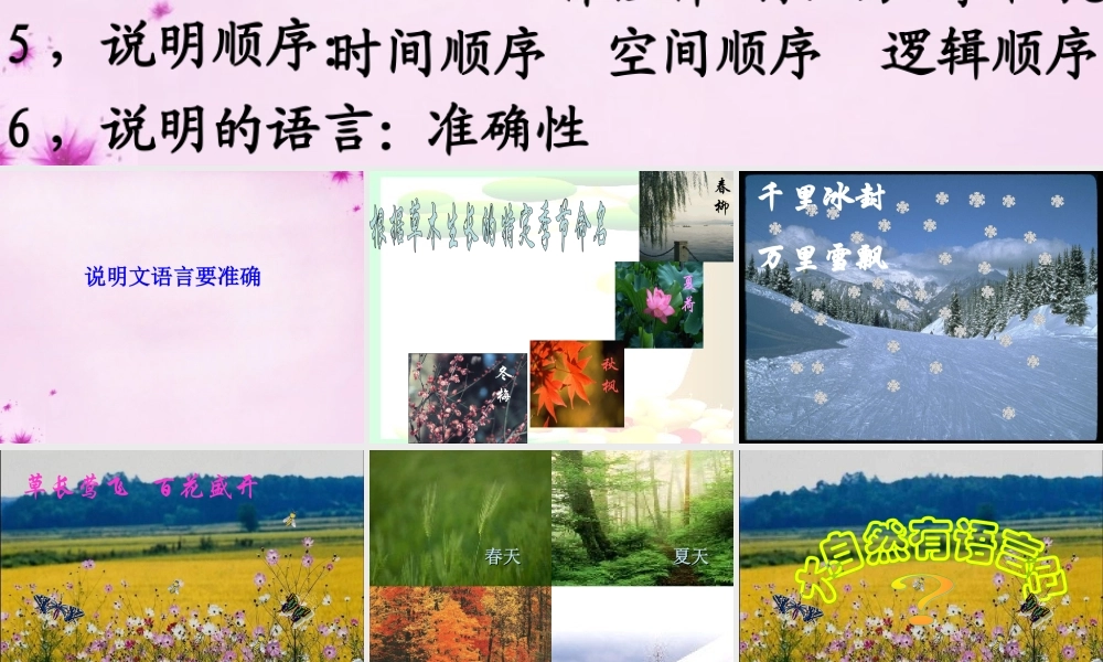 中学八年级语文上册 16 大自然的语言课件 新人教版 课件