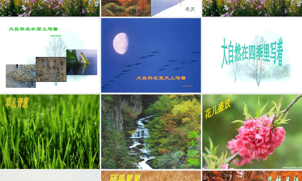 中学八年级语文上册 16 大自然的语言课件 新人教版 课件