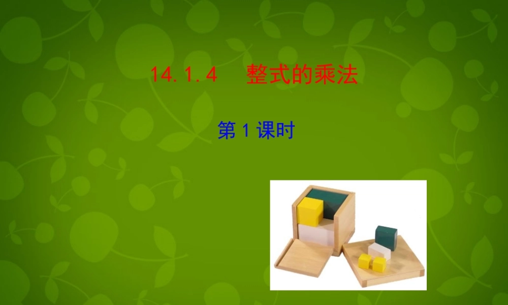 中学八年级数学上册 14.1.4 整式的乘法课件1 (新版)新人教版 课件