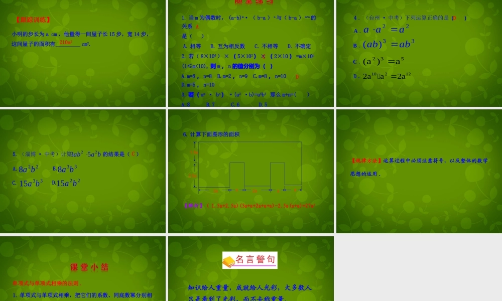中学八年级数学上册 14.1.4 整式的乘法课件1 (新版)新人教版 课件