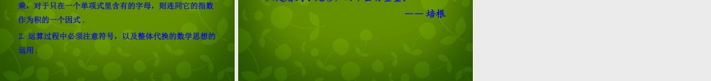 中学八年级数学上册 14.1.4 整式的乘法课件1 (新版)新人教版 课件