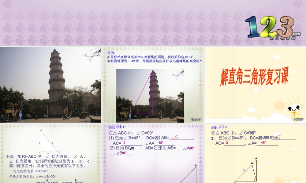 初三数学解直角三角形复习课课件 浙教版 课件