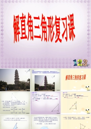 初三数学解直角三角形复习课课件 浙教版 课件