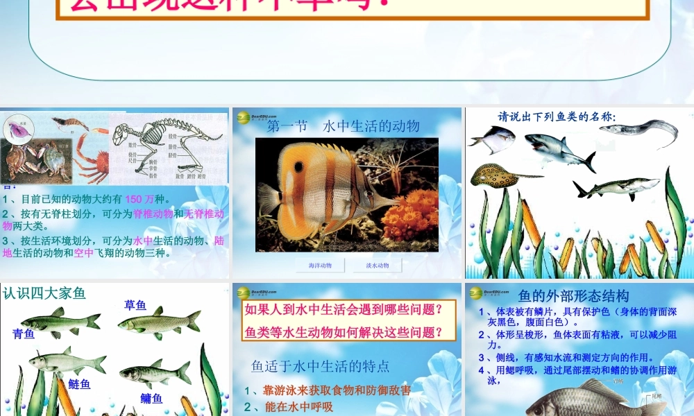 八年级生物上册(水中生活的动物)课件 新人教版 课件