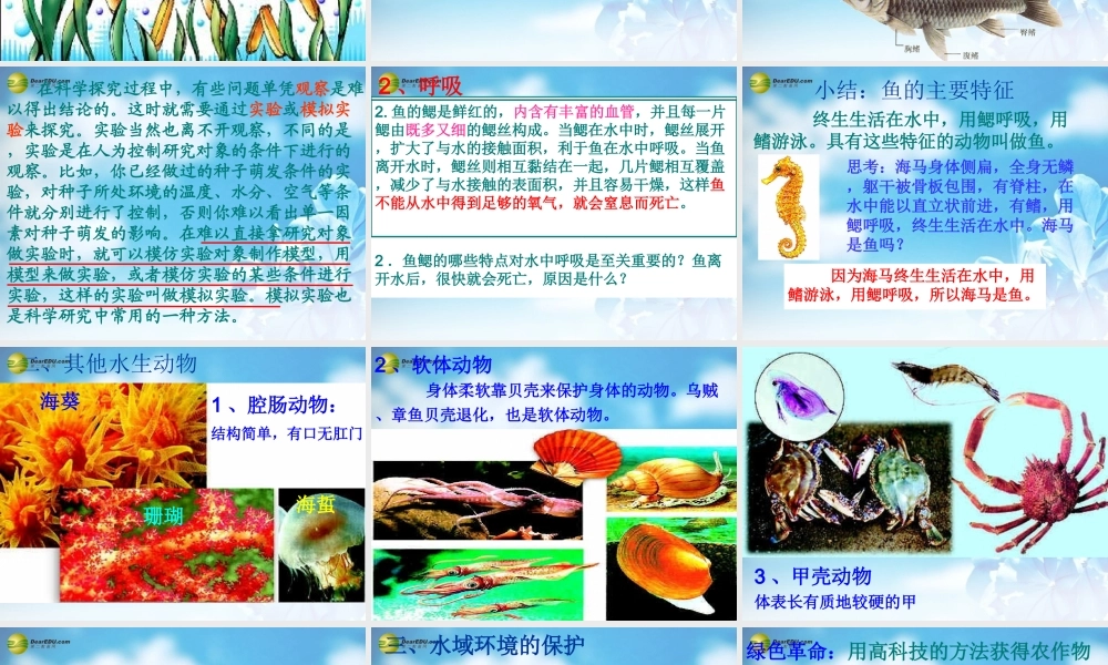 八年级生物上册(水中生活的动物)课件 新人教版 课件