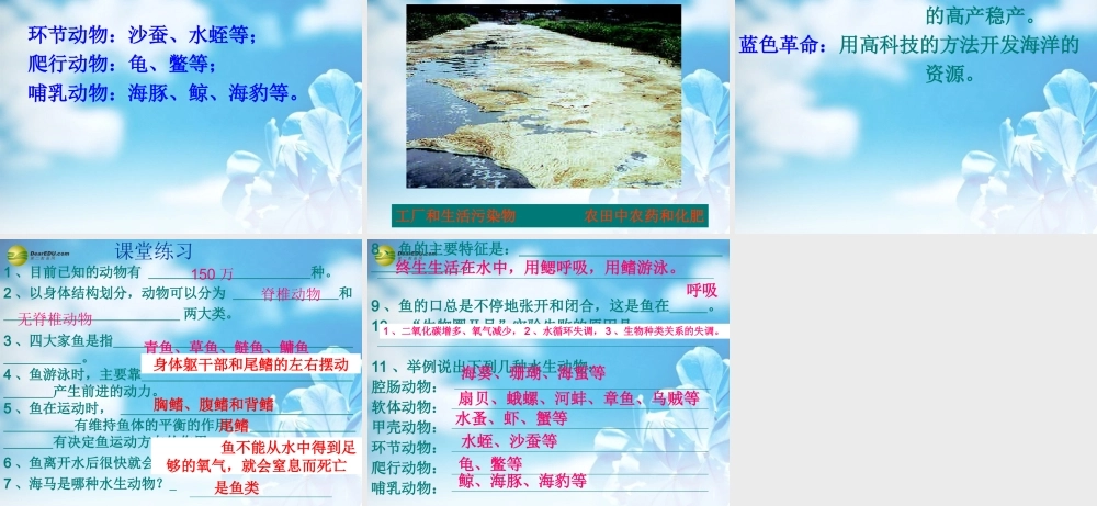 八年级生物上册(水中生活的动物)课件 新人教版 课件