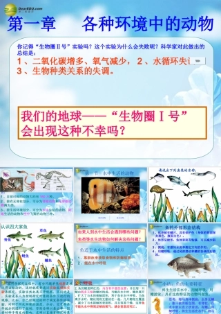 八年级生物上册(水中生活的动物)课件 新人教版 课件