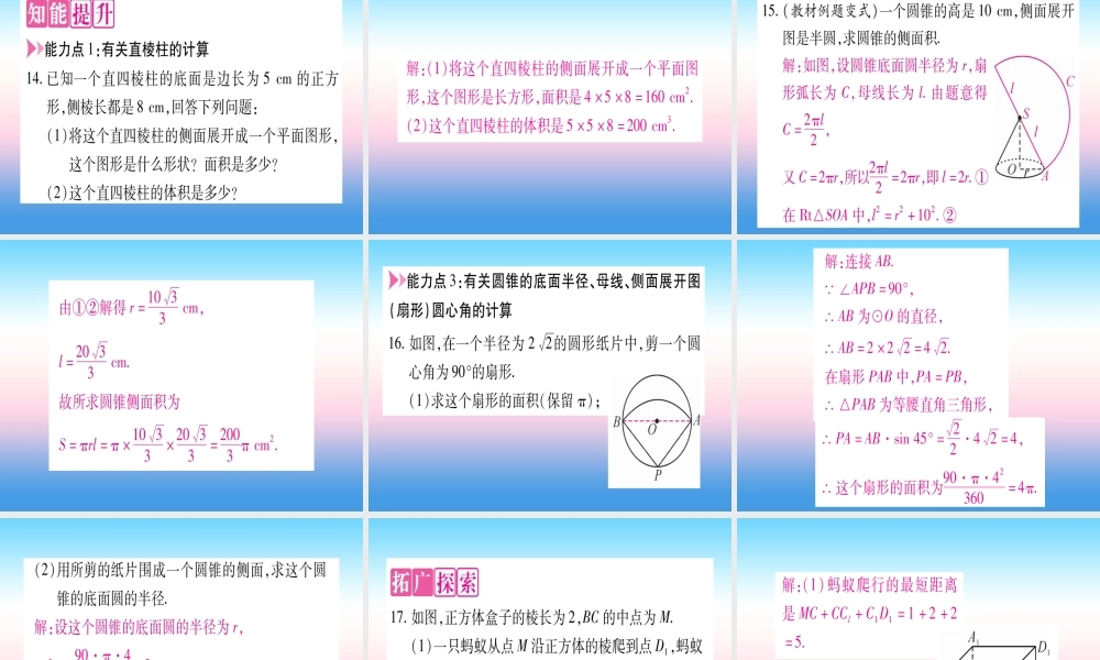 九年级数学下册 第3章 投影与视图 32 直棱柱、圆锥的侧面展开图作业课件 (新版)湘教版 课件