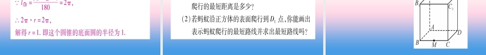 九年级数学下册 第3章 投影与视图 32 直棱柱、圆锥的侧面展开图作业课件 (新版)湘教版 课件
