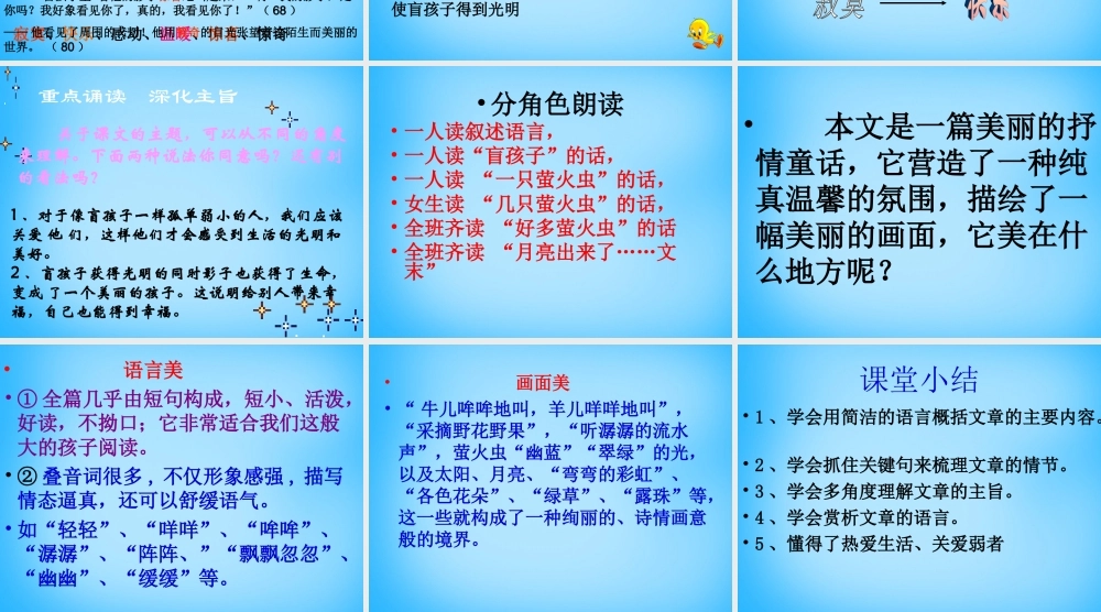 中学七年级语文上册(第29课 盲孩子和他的影子)课件 (新版)新人教版 课件