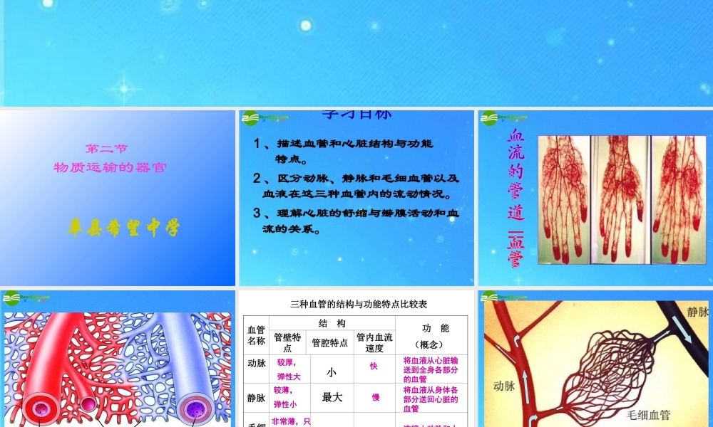 七年级生物下册 第二节物质运输的器官课件 济南版 课件