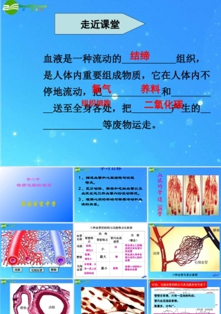 七年级生物下册 第二节物质运输的器官课件 济南版 课件