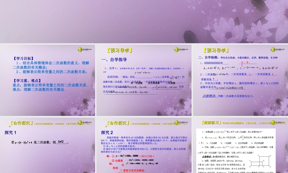 九年级数学下册 2611 二次函数(预习导学合作探究跟踪练习)同步教学课件 新人教版 课件