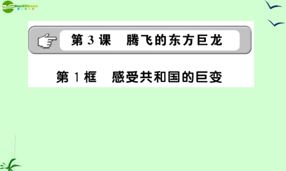 九年级政治 231感受共和国的巨变课件 鲁人版 课件