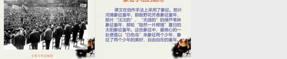 八年级语文下册(白色鸟)课件2 鲁教版 课件