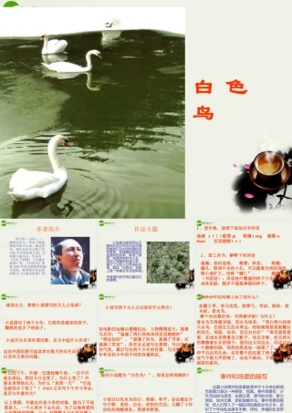 八年级语文下册(白色鸟)课件2 鲁教版 课件