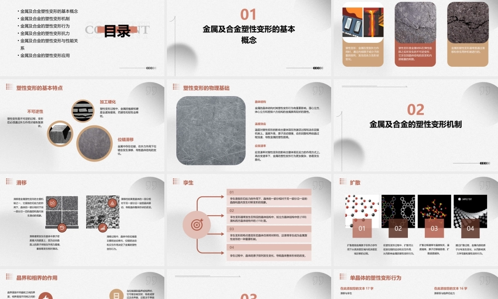 金属及合金的塑性变形综述课件