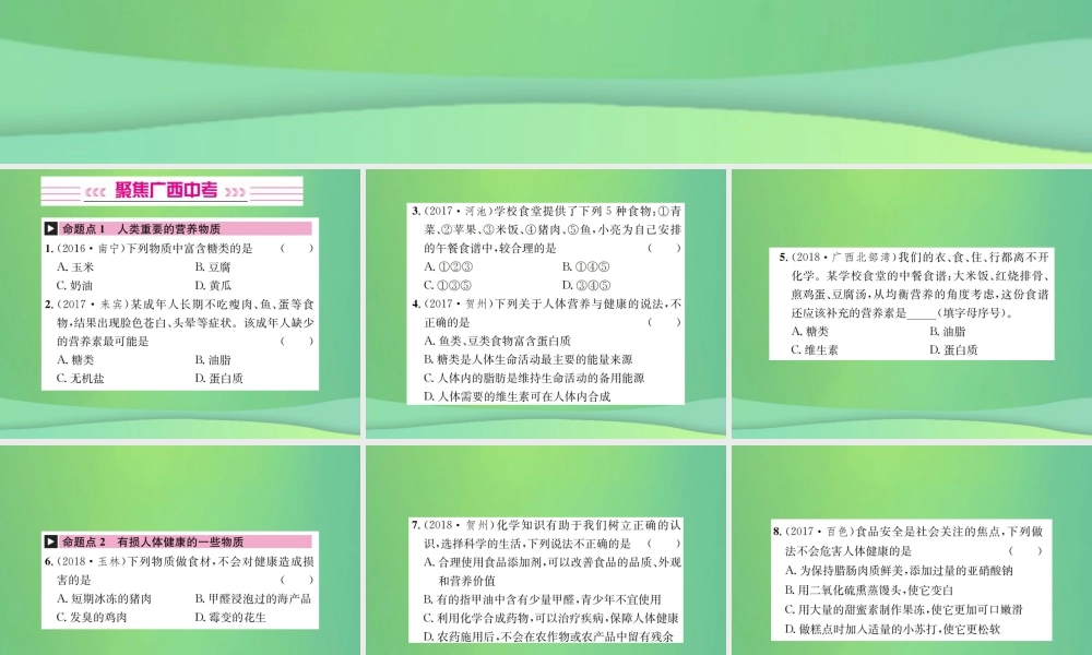 中考化学总复习 教材考点梳理 第12单元 化学与生活课件